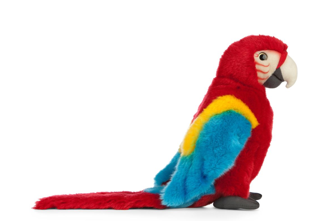 Red Macaw