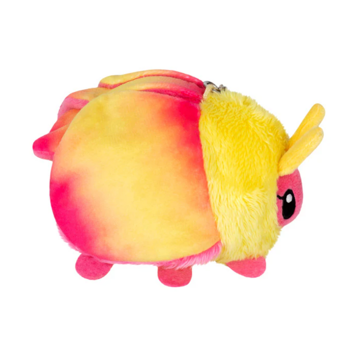 Rosy Maple Moth Micro