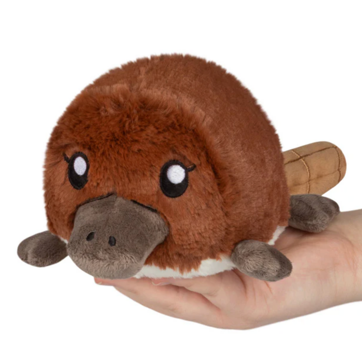 Platypus Snackers