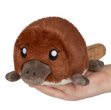Platypus Snackers