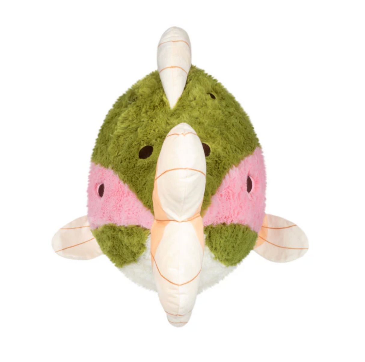 Rainbow Trout