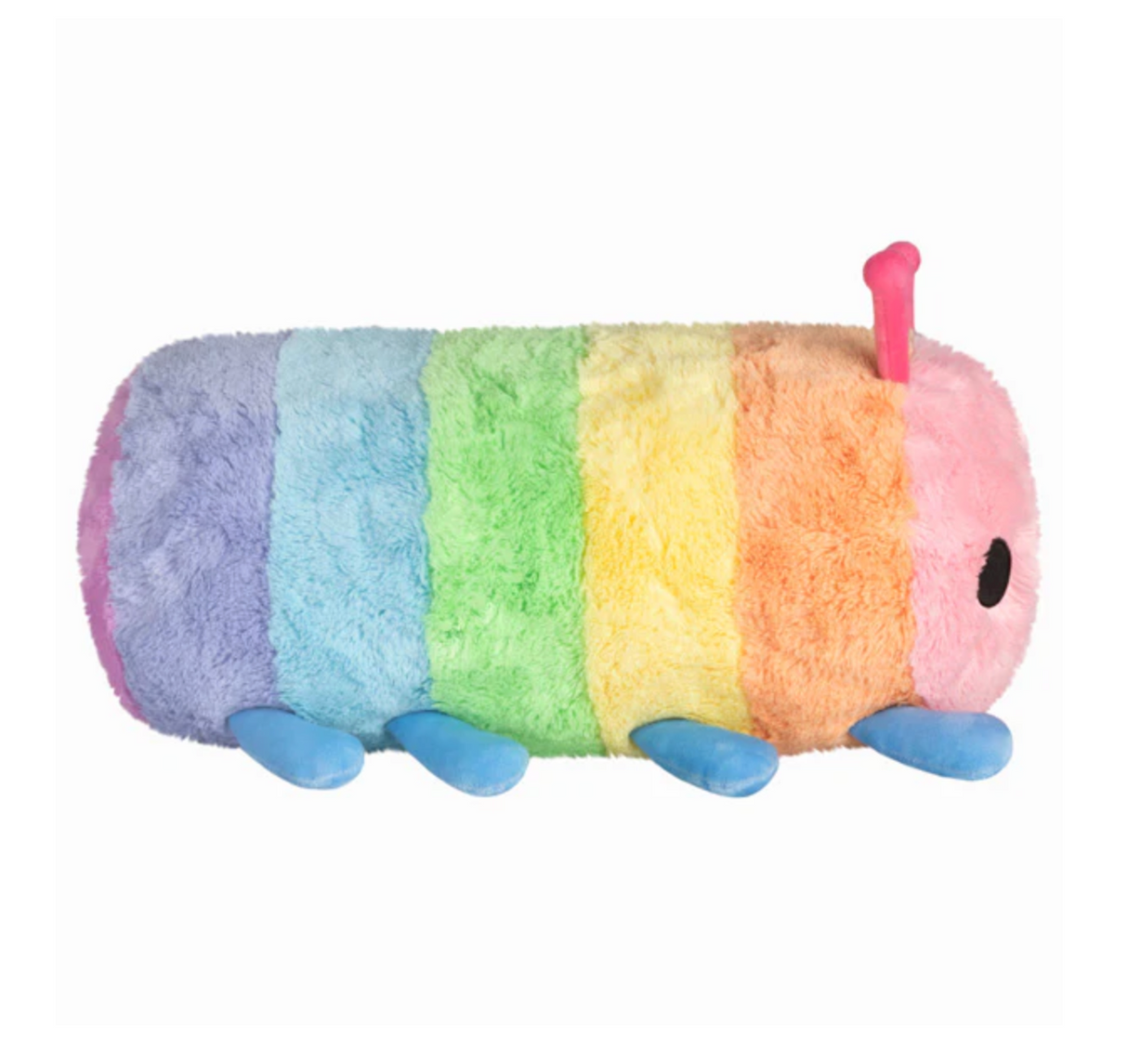 Rainbow Caterpillar