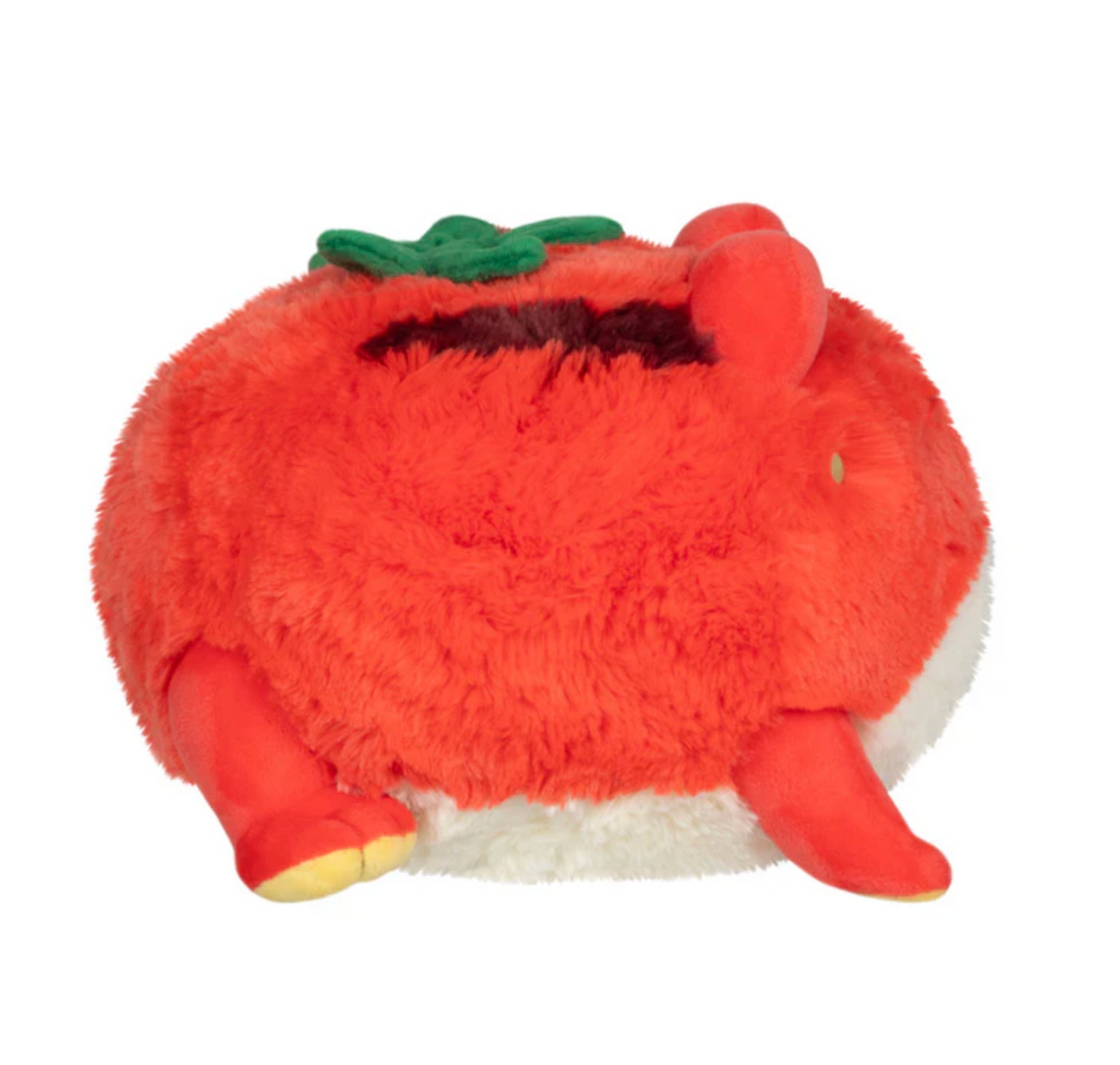 TomAToad Mini
