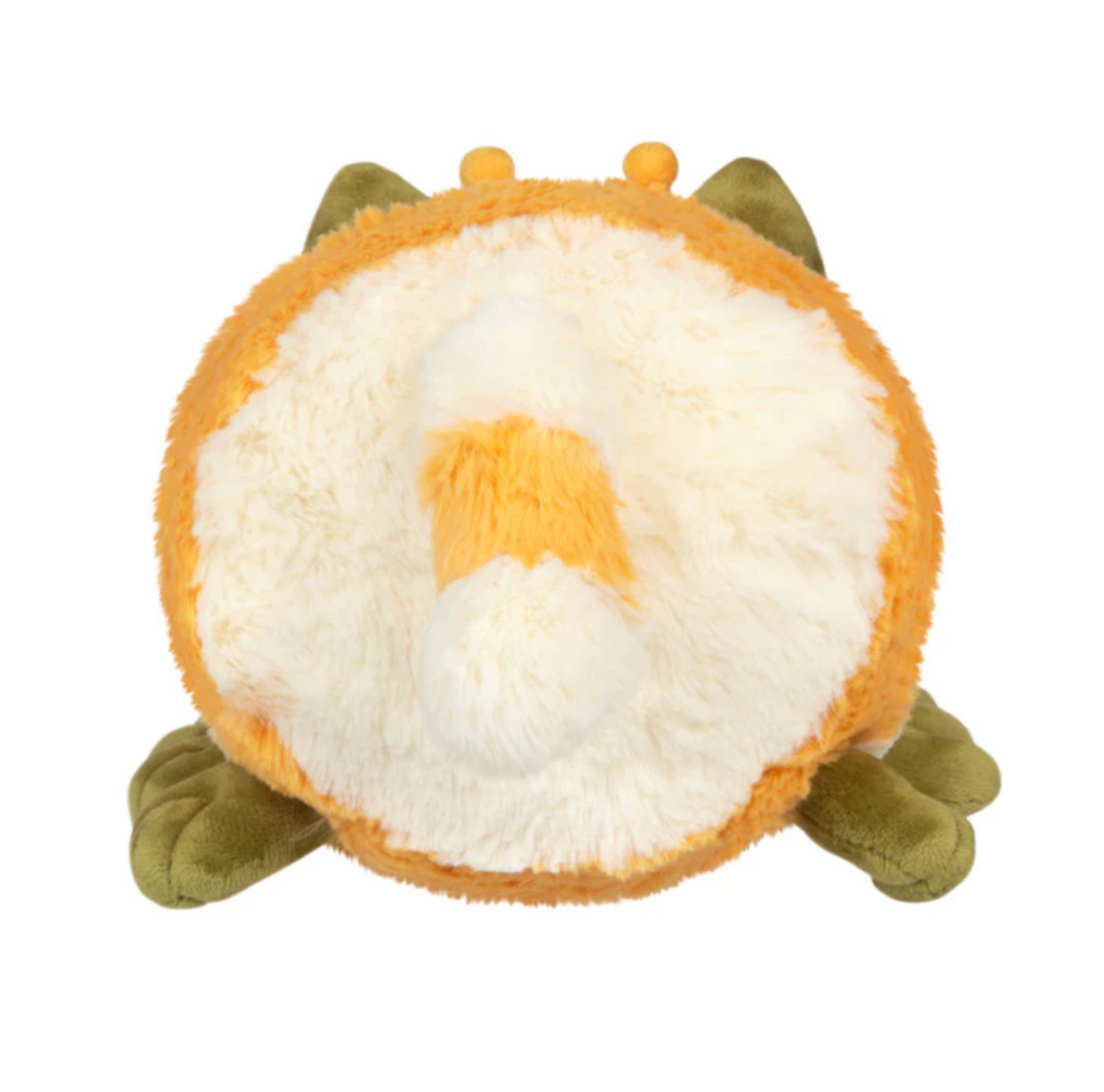 Kittypillar/Caterpillar Mini