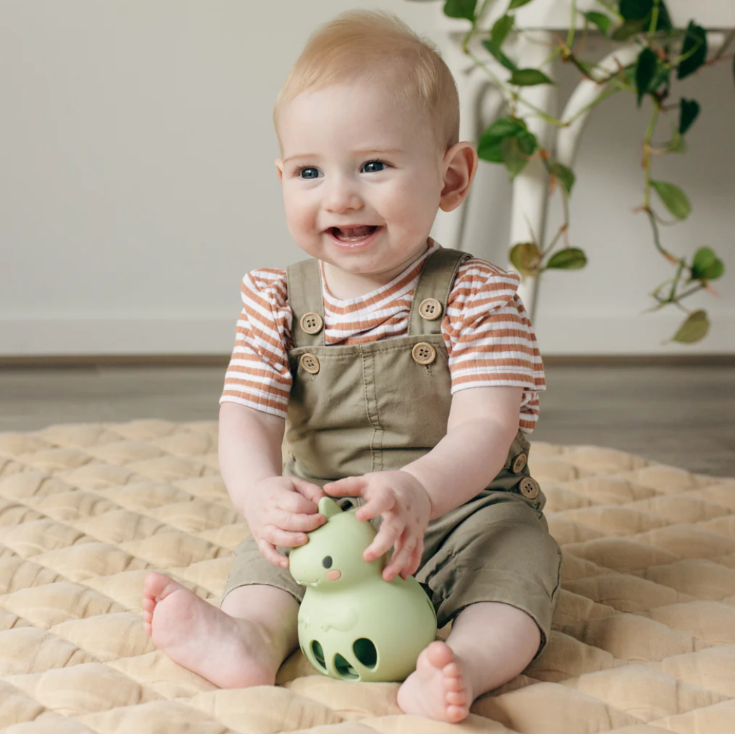 Silicone Rattle | Dino