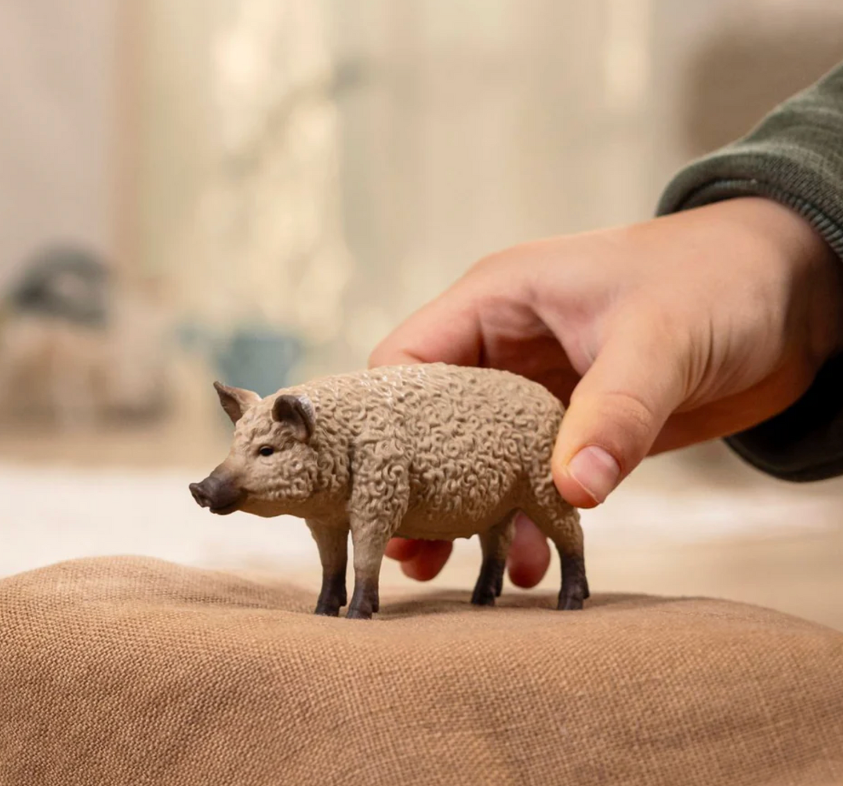 Mangalica Pig