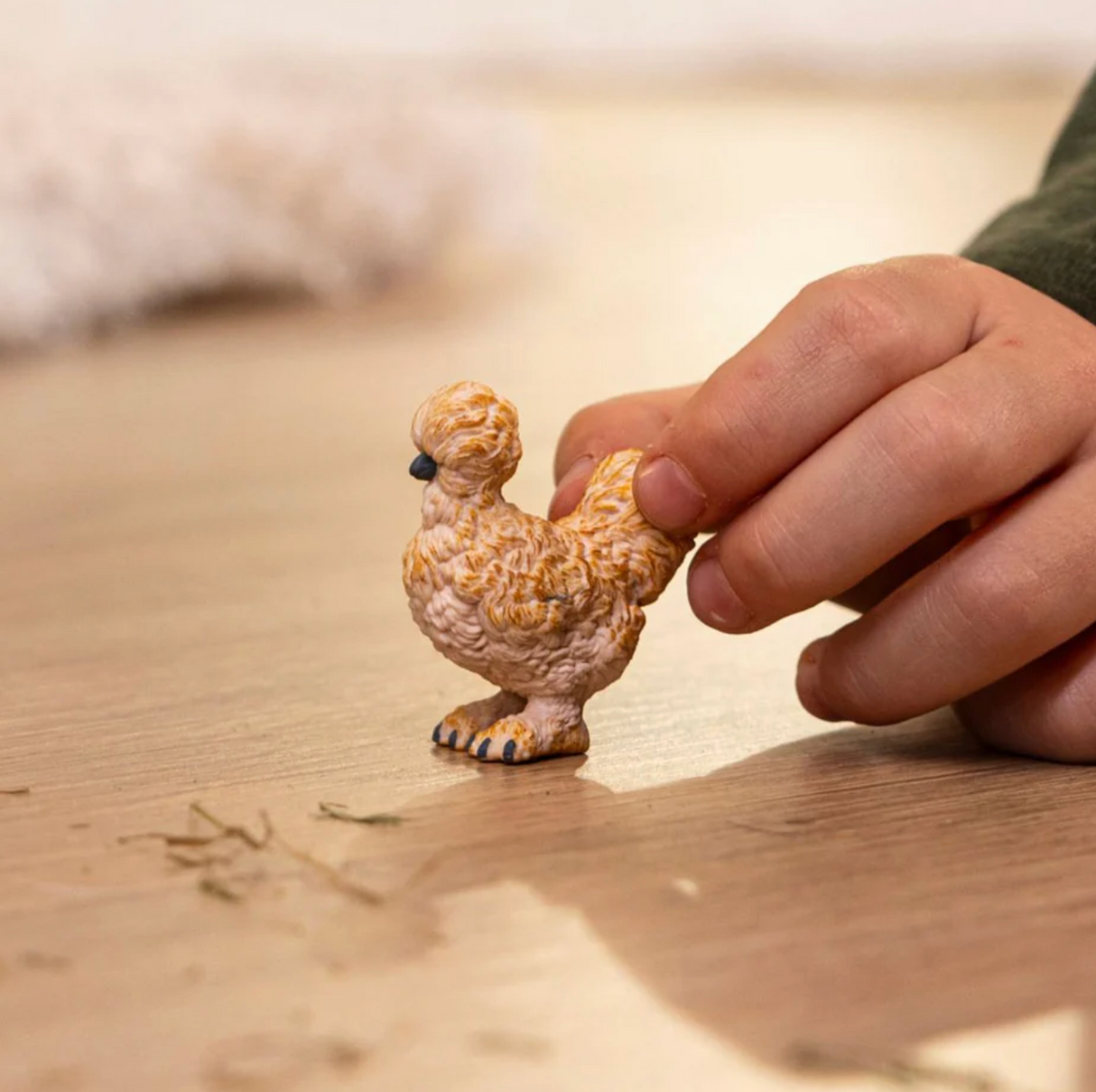 Silkie Chicken
