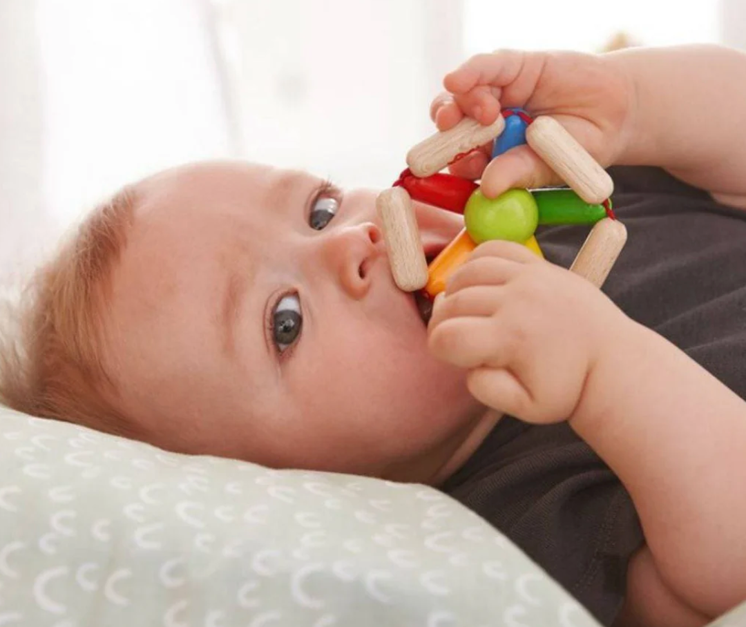 Color Carousel Wooden Rattle