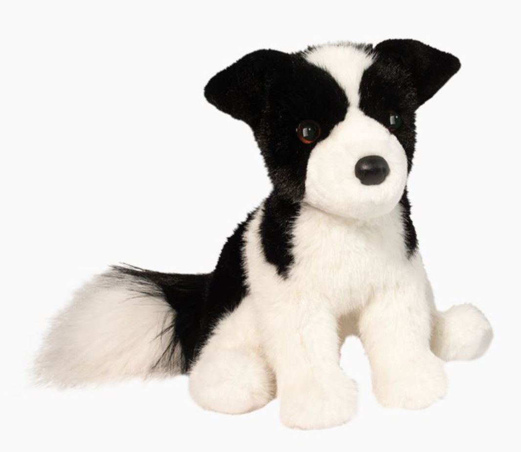 Border Collie Herdie