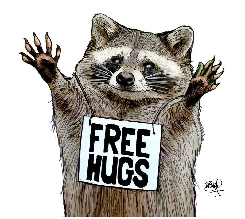 Free Hugs Raccoon Card