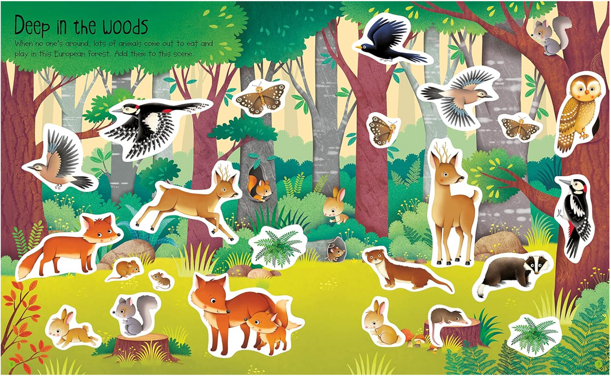 First Sticker Book | Nature