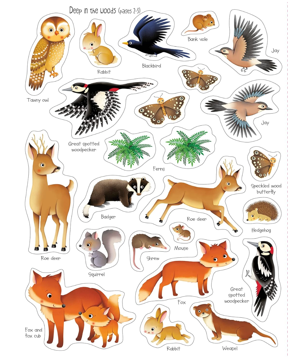 First Sticker Book | Nature
