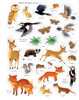 First Sticker Book | Nature
