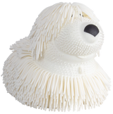 Shaggy Pup