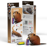 EUGY | Beaver