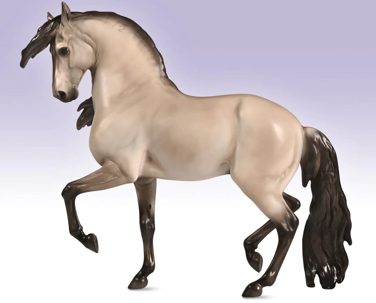 Cossaco Champion Lusitano
