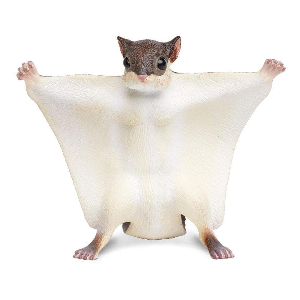 Flying Squirrel