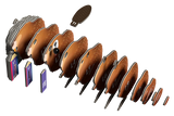 EUGY | Beaver