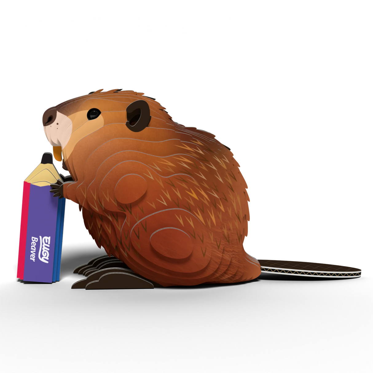 EUGY | Beaver