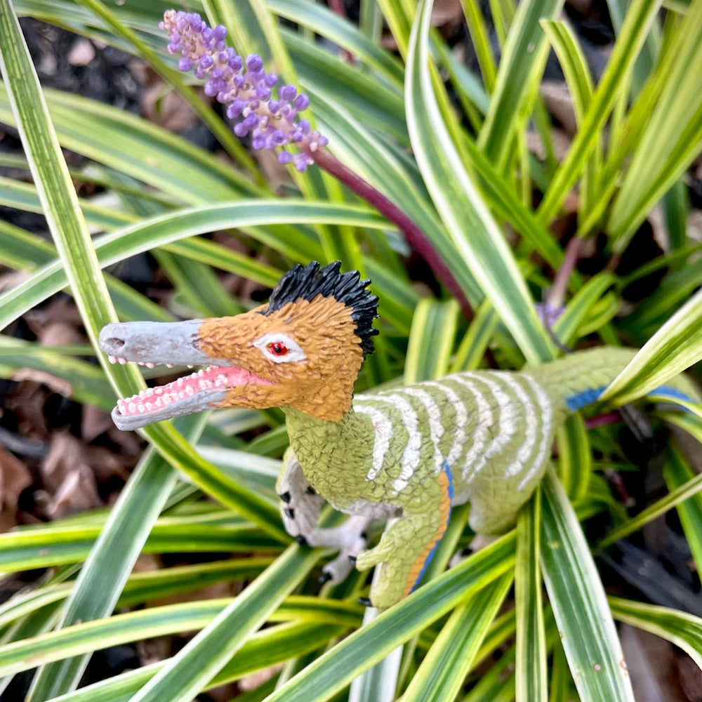 Austroraptor