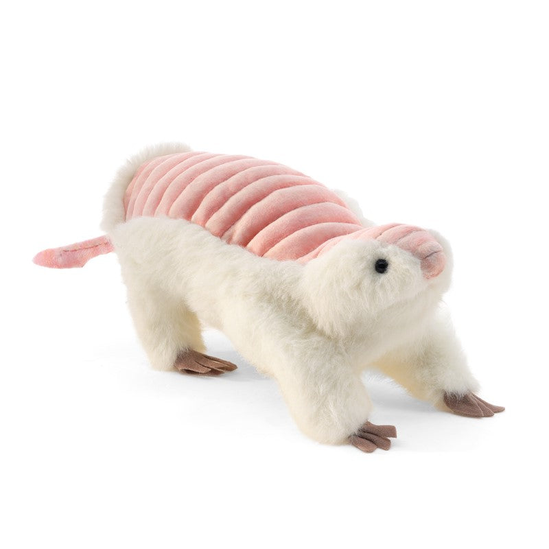 Pink Fairy Armadillo