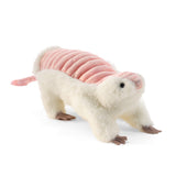 Pink Fairy Armadillo