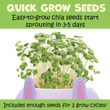 Plant A Pet Bunny chia seeds sprouting rapidly in a cute bunny planter, ready for indoor gardening fun.