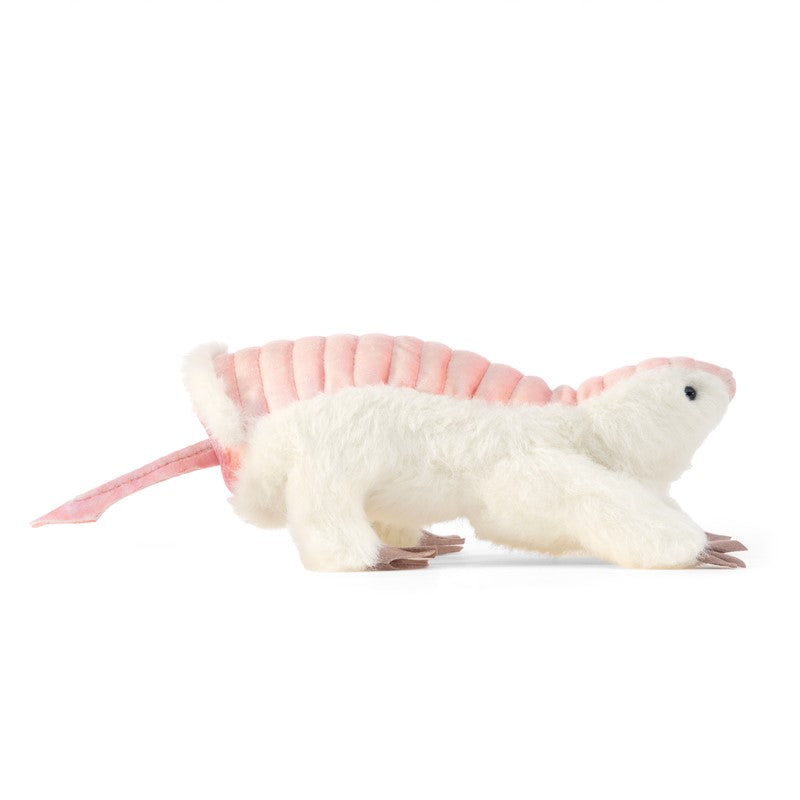 Pink Fairy Armadillo