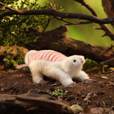 Pink Fairy Armadillo