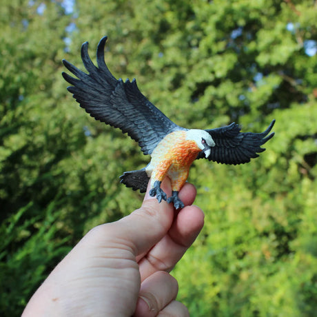 Hand holding a detailed flying pose Bearded Vulture toy figure with black wings and orange-stained underside.