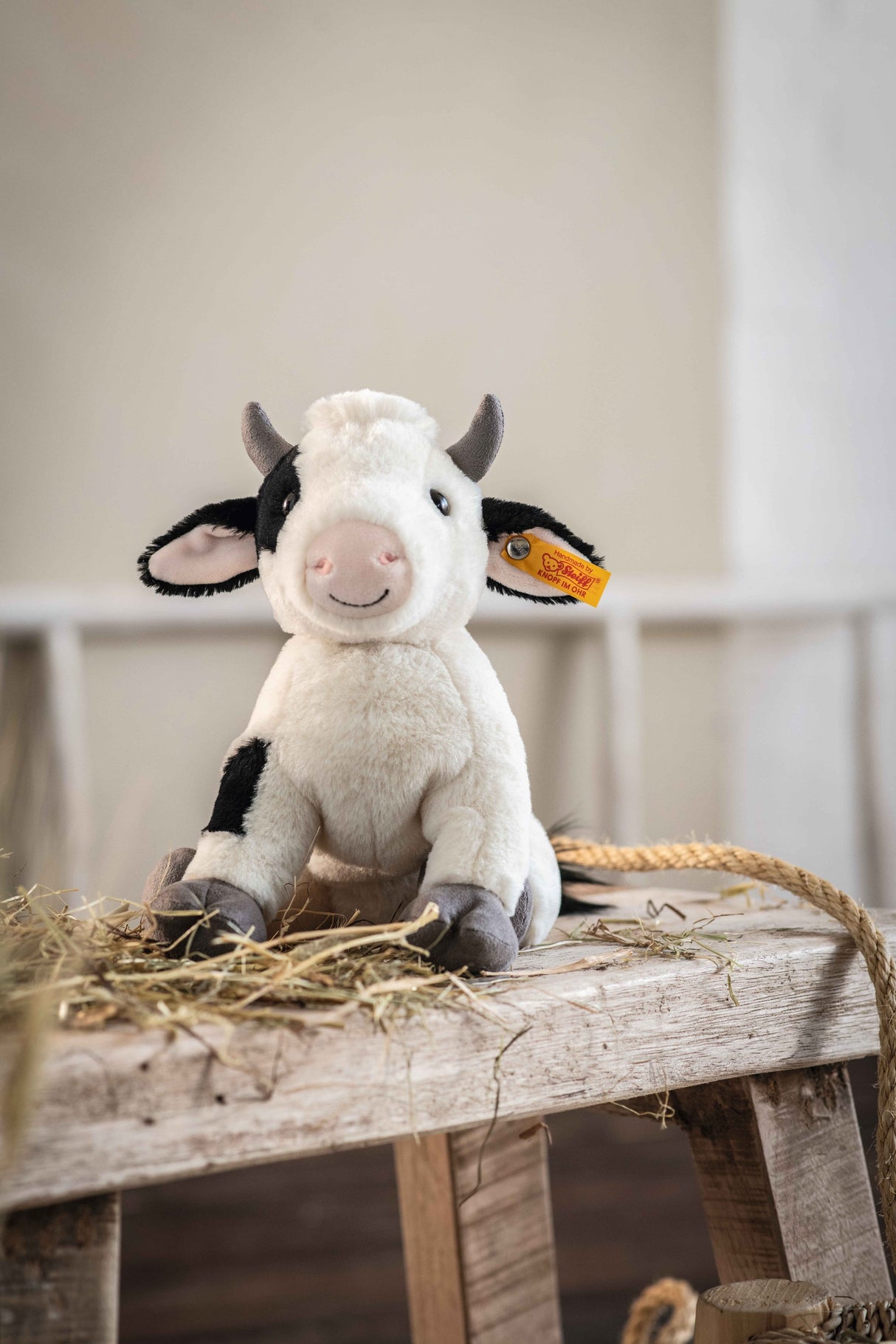 Cow Cobb