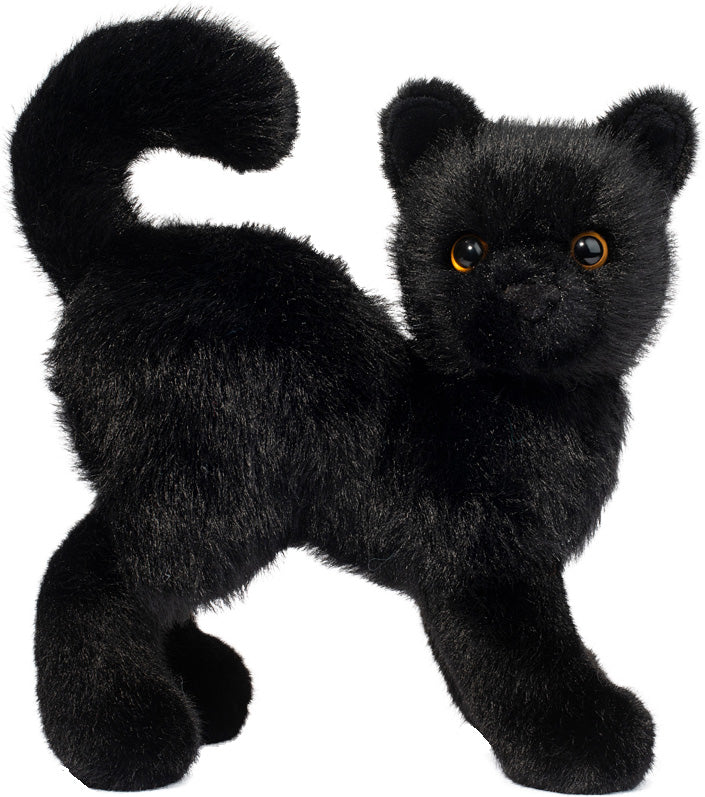 Black Cat Scaredy
