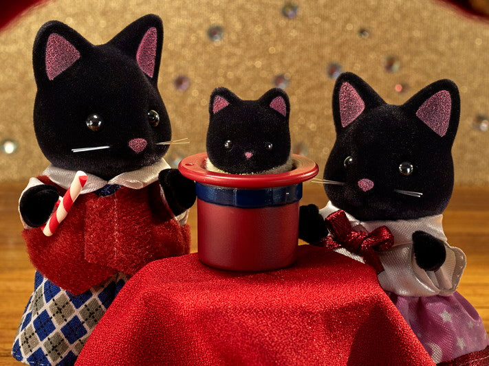 Midnight Cat Family