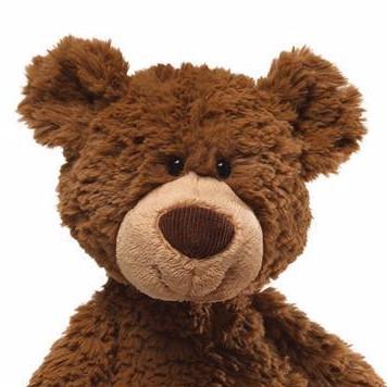 Teddy Bear Pinchy
