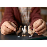 Chicken Friends