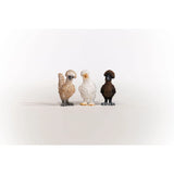 Chicken Friends