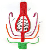 Wikki Stix Primary Pack
