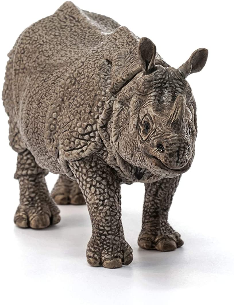 Rhinoceros