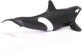 Orca Whale