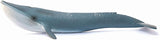 Blue Whale