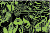 100pc Frogs & Lizards Glow Puzzle