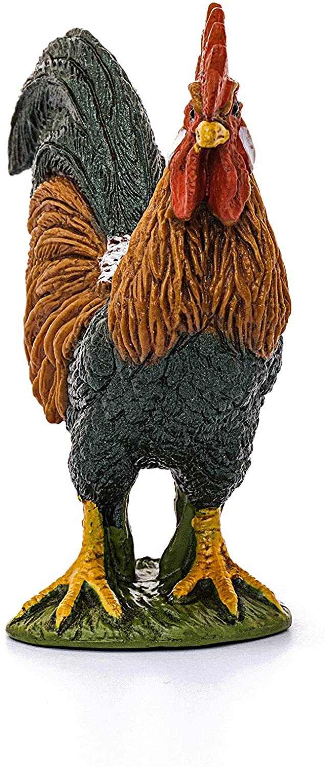 Rooster
