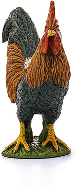 Rooster