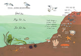 Ocean Anatomy