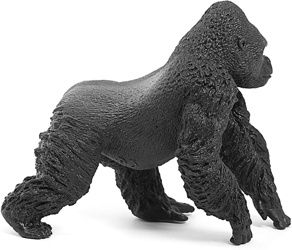 Gorilla Male