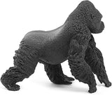 Gorilla Male