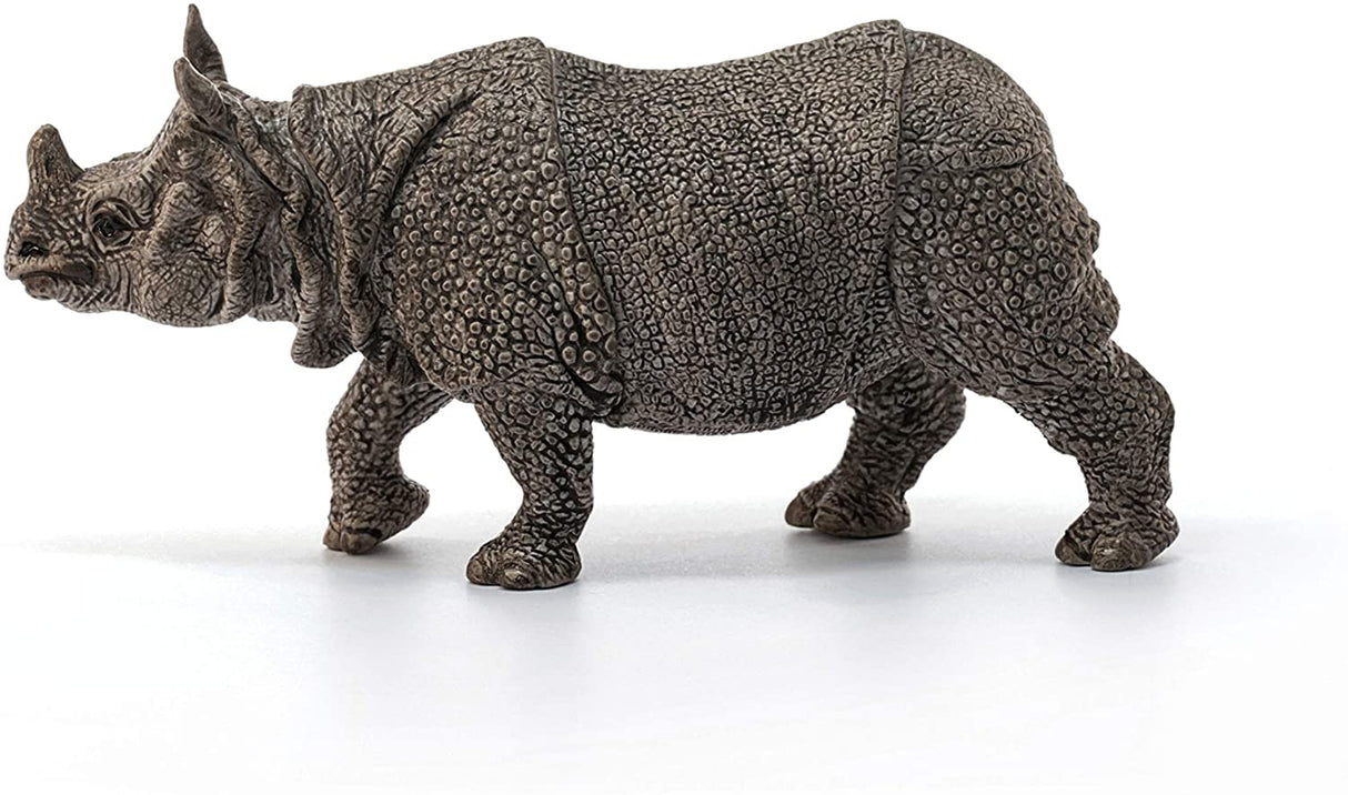 Rhinoceros