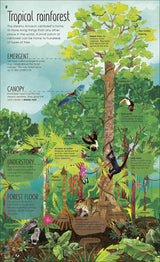 Magic and Mystery of Trees