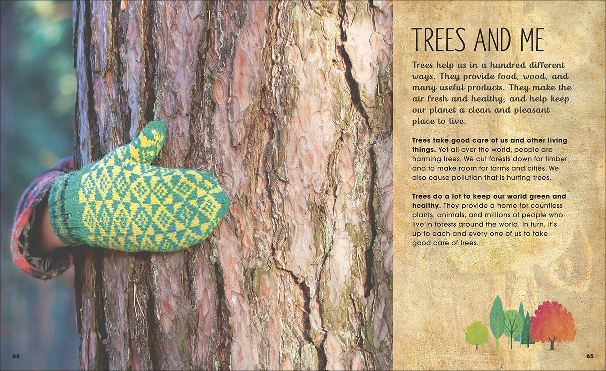 Magic and Mystery of Trees