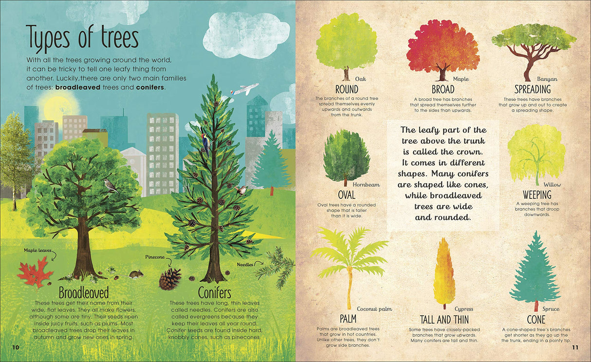 Magic and Mystery of Trees